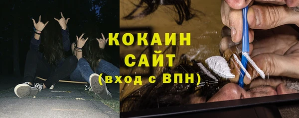 тгк Новозыбков
